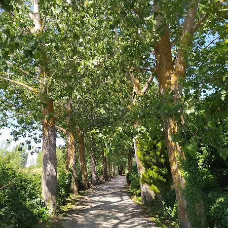 Rural La Arboleda Noviercas