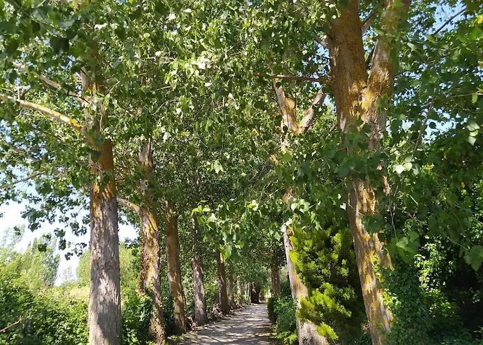 Rural La Arboleda Noviercas